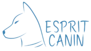 Logo du site Esprit canin représentant une tête de chien en bleu sur fond blanc